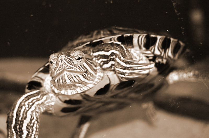 bewegen sie die Maus &uuml;ber das Bild