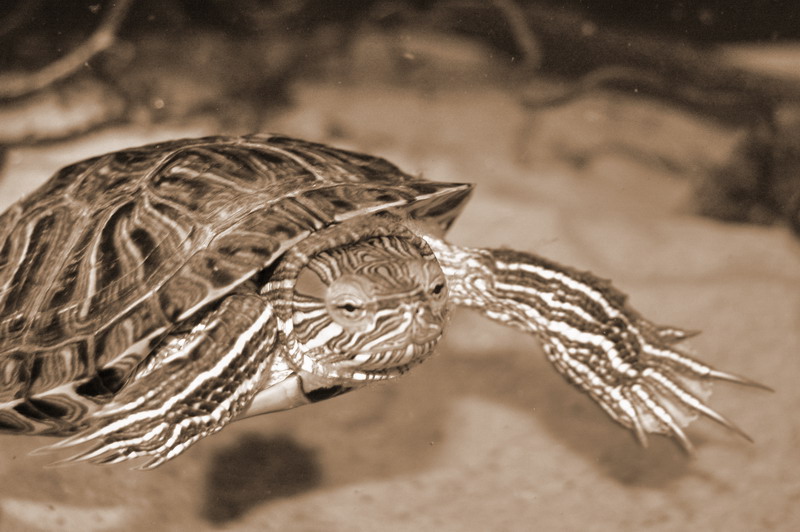 bewegen sie die Maus &uuml;ber das Bild