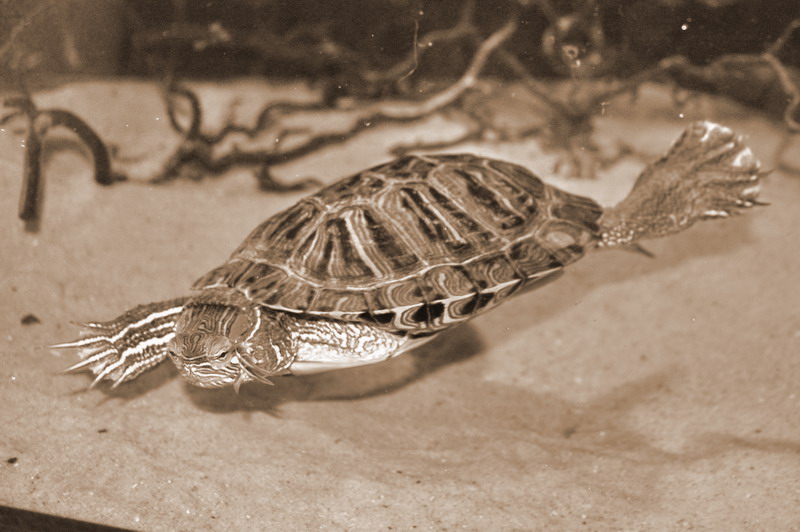 bewegen sie die Maus &uuml;ber das Bild